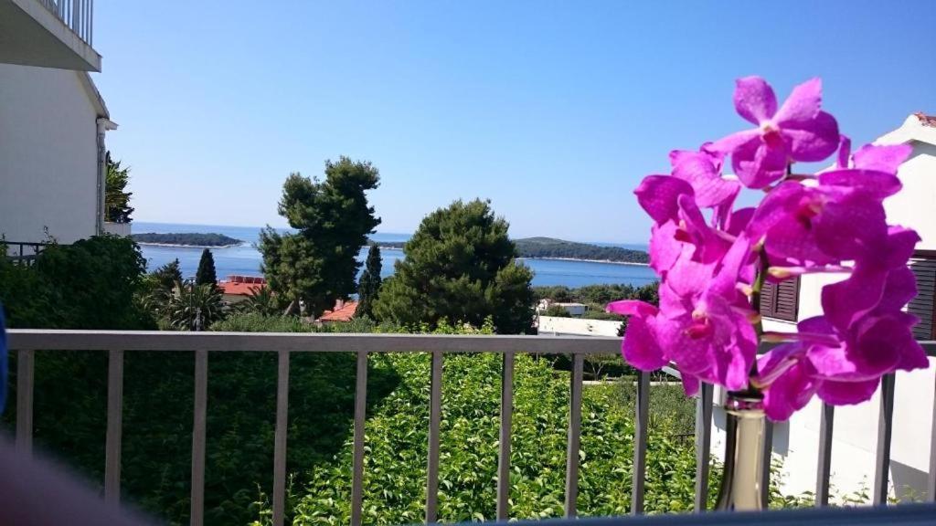 Apartment Mare 2
