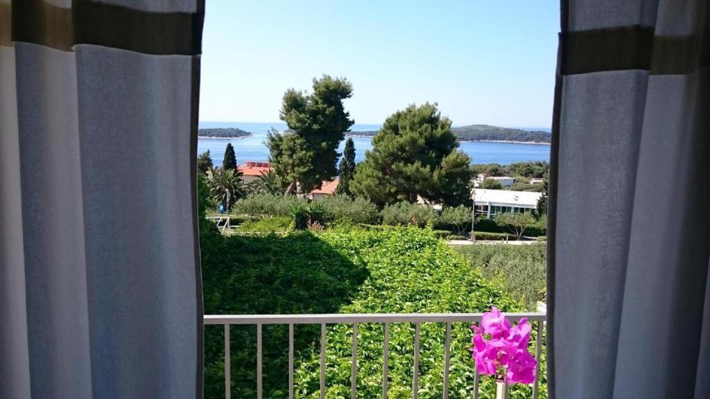 Mare 2 *